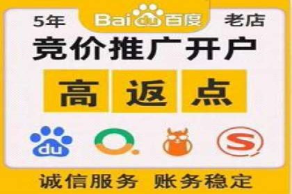 SEM代理的优化策略及成功案例